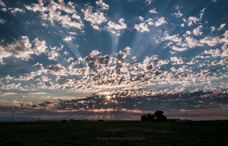 Click to View Larger