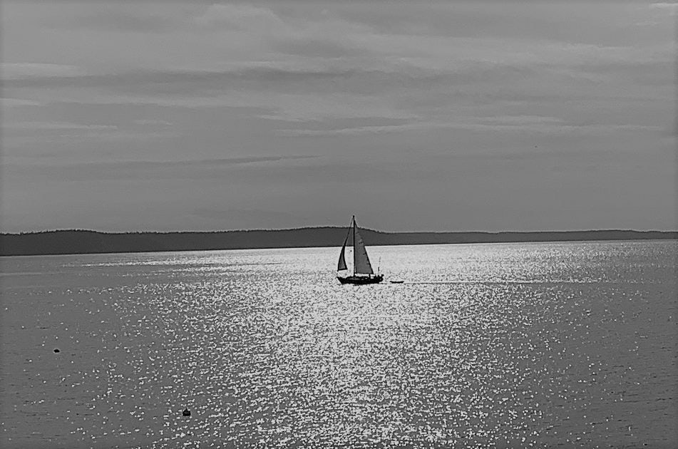 Click to View Larger