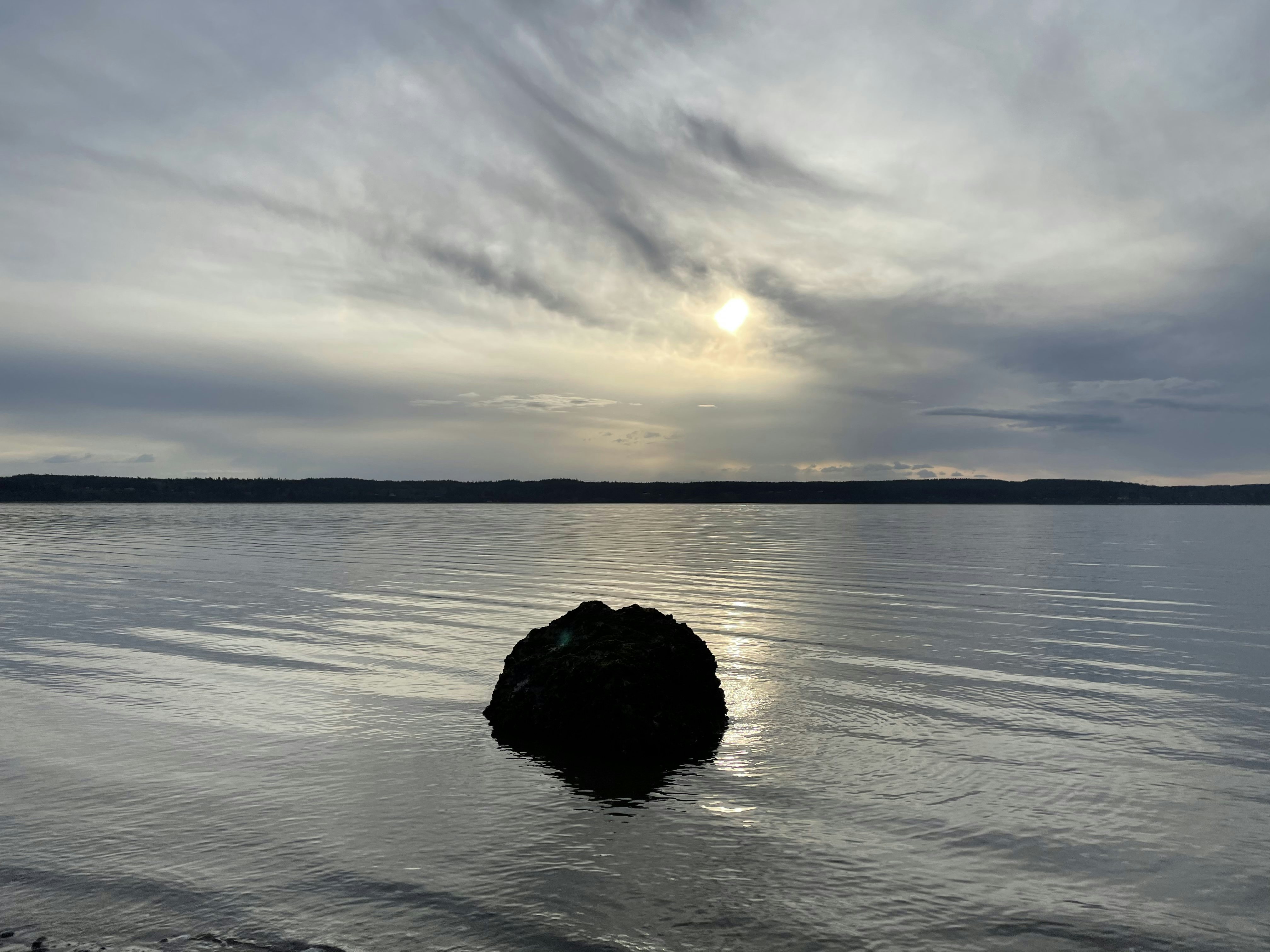 Click to View Larger