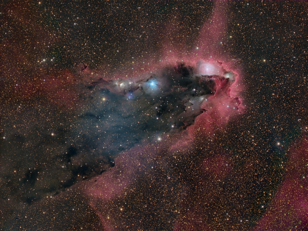 Click to View Larger