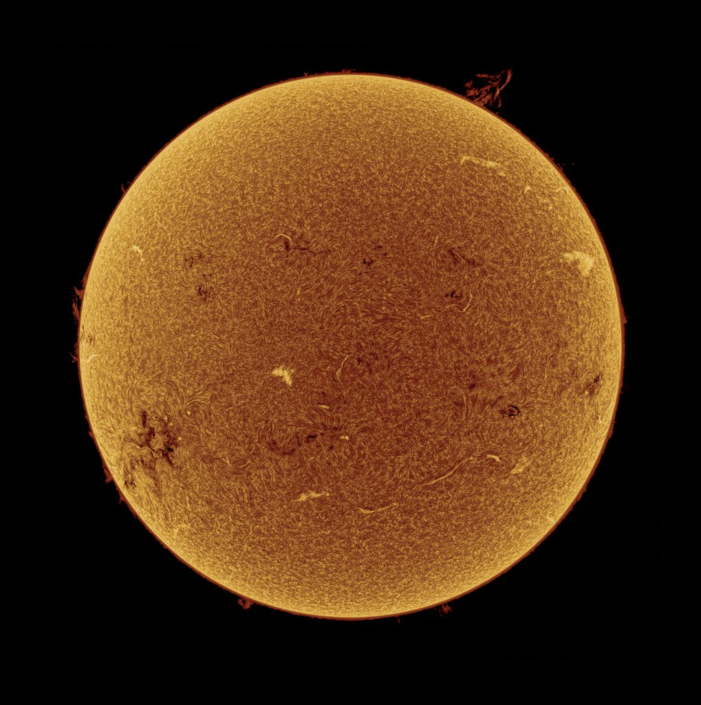 Click to View Larger