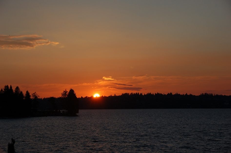 Click to View Larger