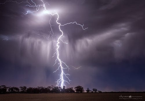 Click to View Larger