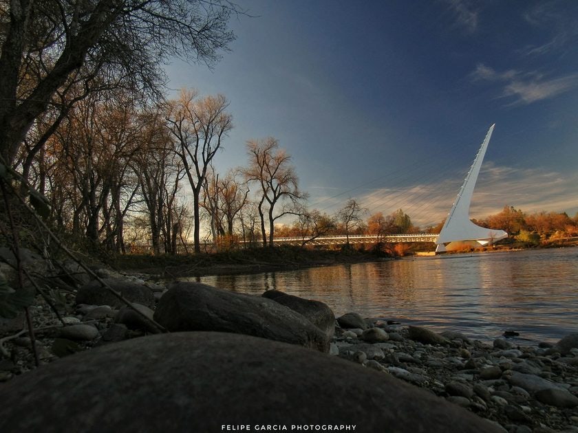 Click to View Larger