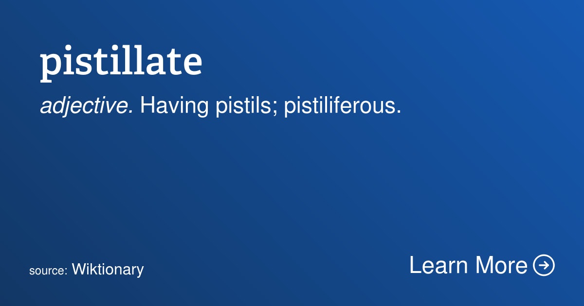 Click to View Larger