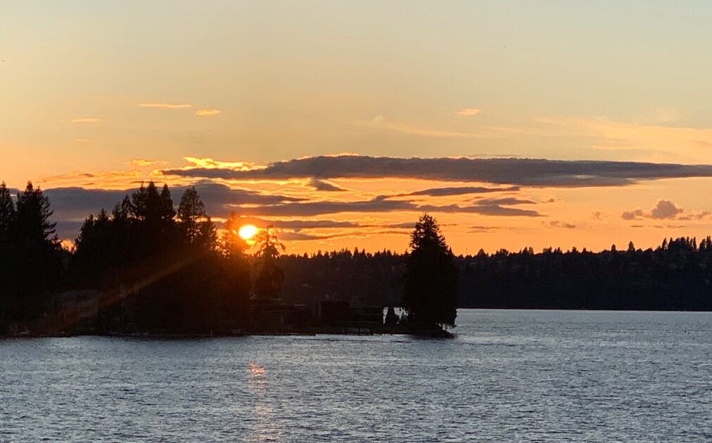 Click to View Larger