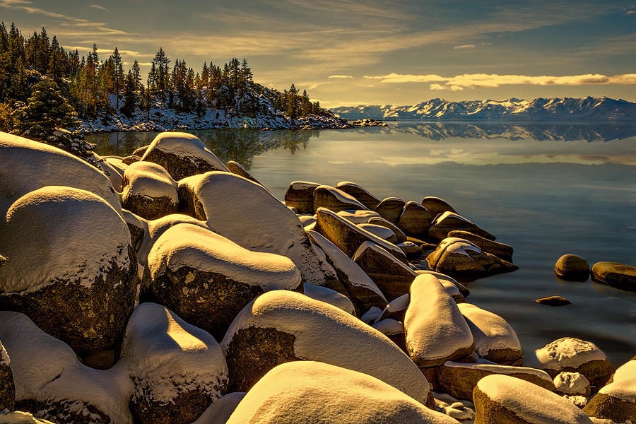 Click to View Larger