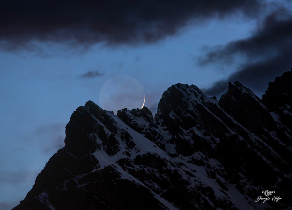 Click to View Larger