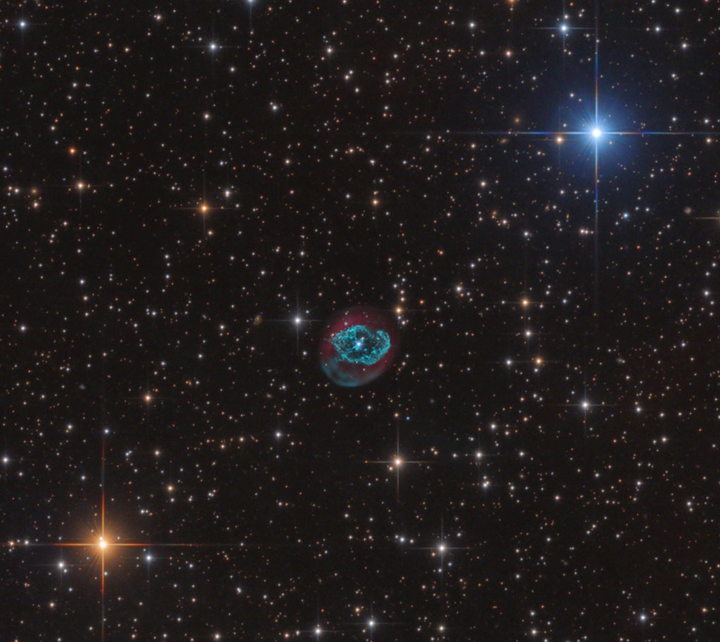 Click to View Larger