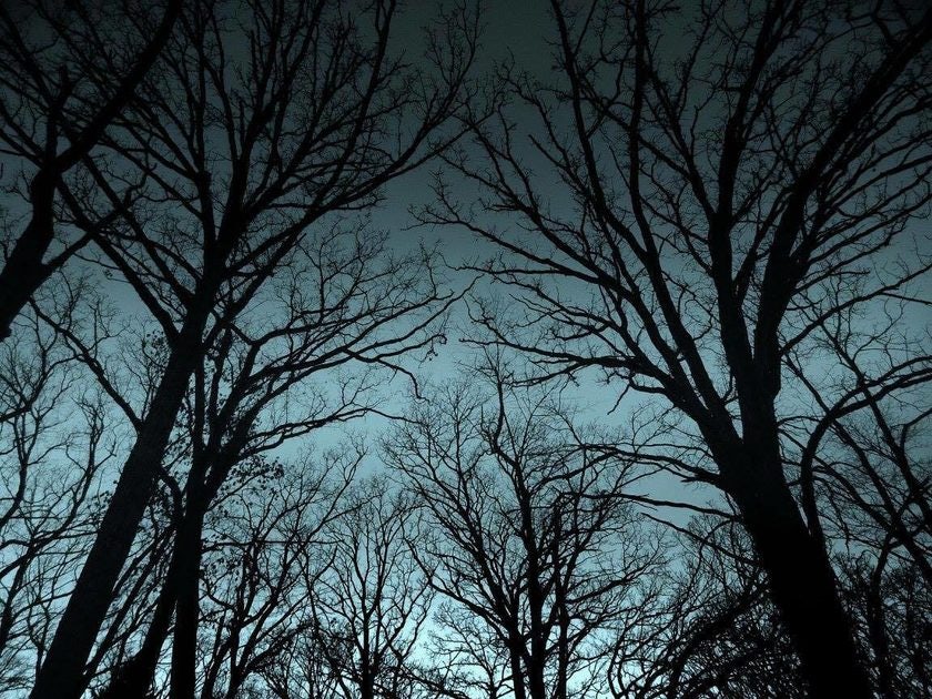 Click to View Larger