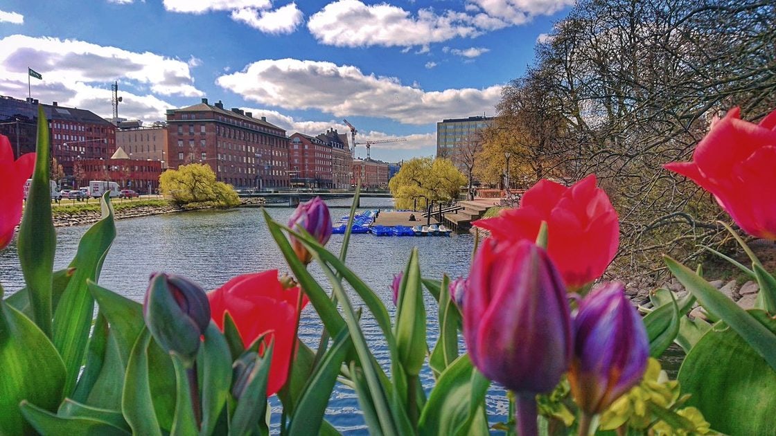 Click to View Larger