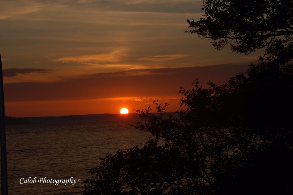 Click to View Larger