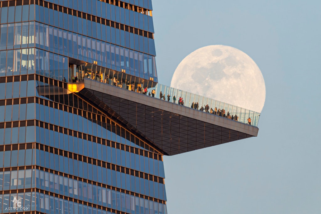 Click to View Larger