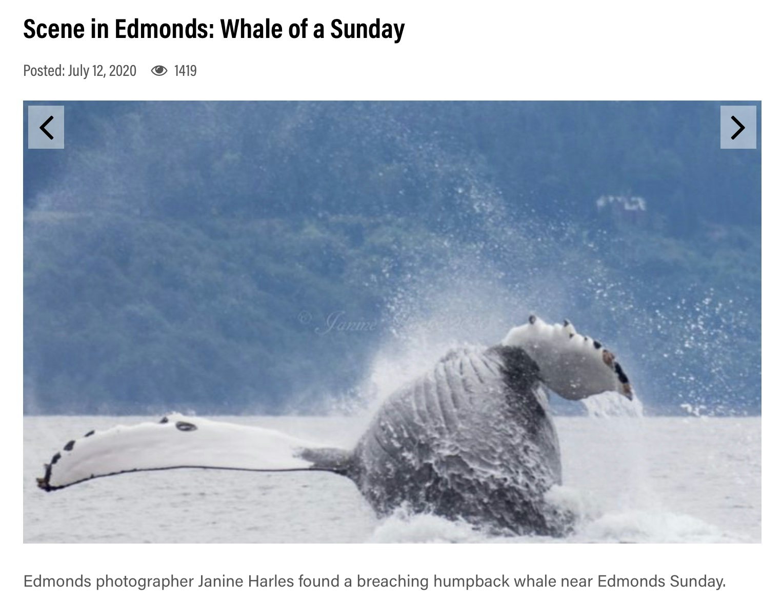 Click to View Larger