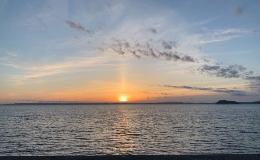 Click to View Larger