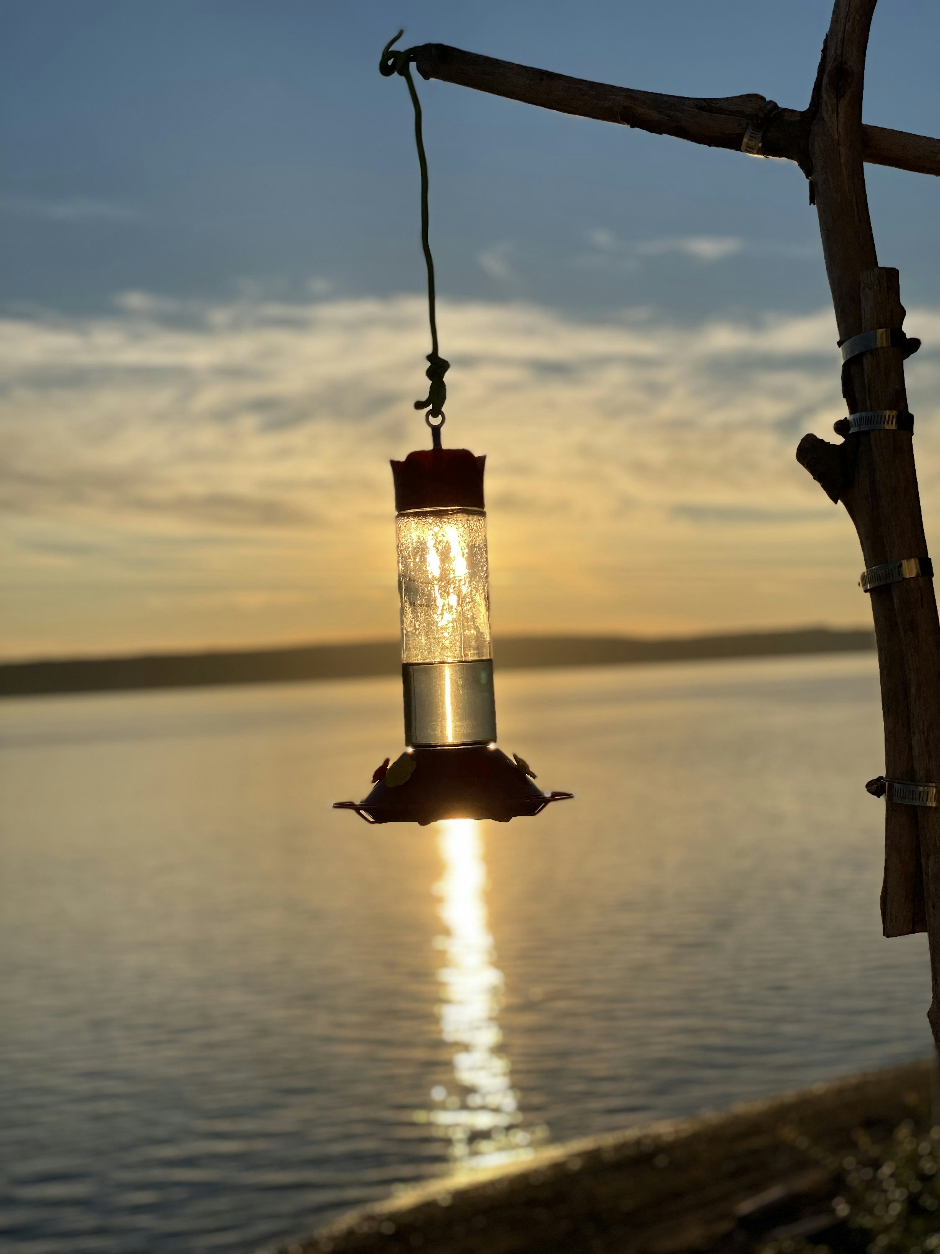 Click to View Larger