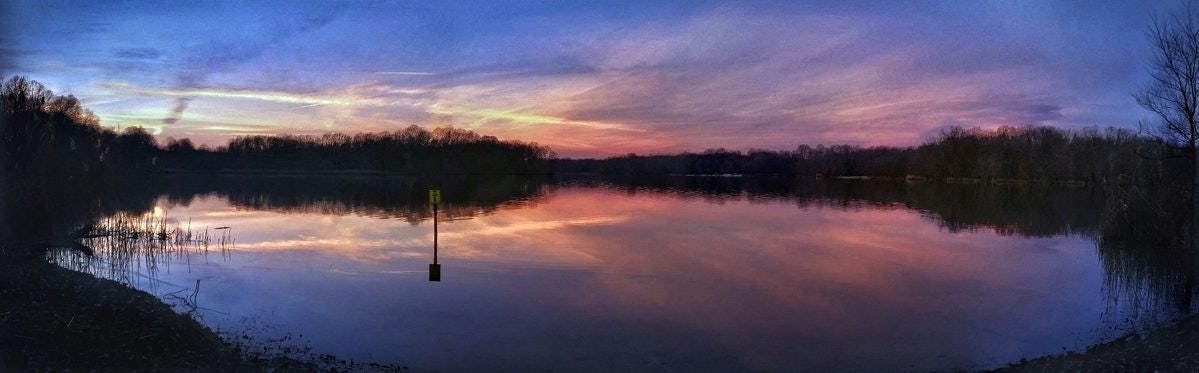 Click to View Larger