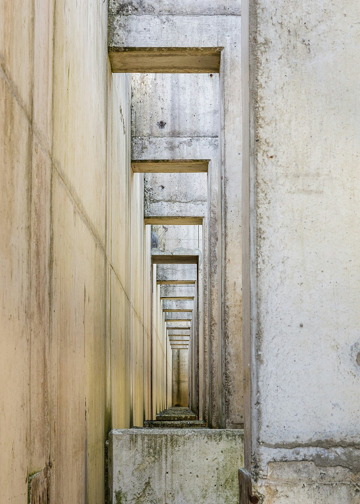 Click to View Larger