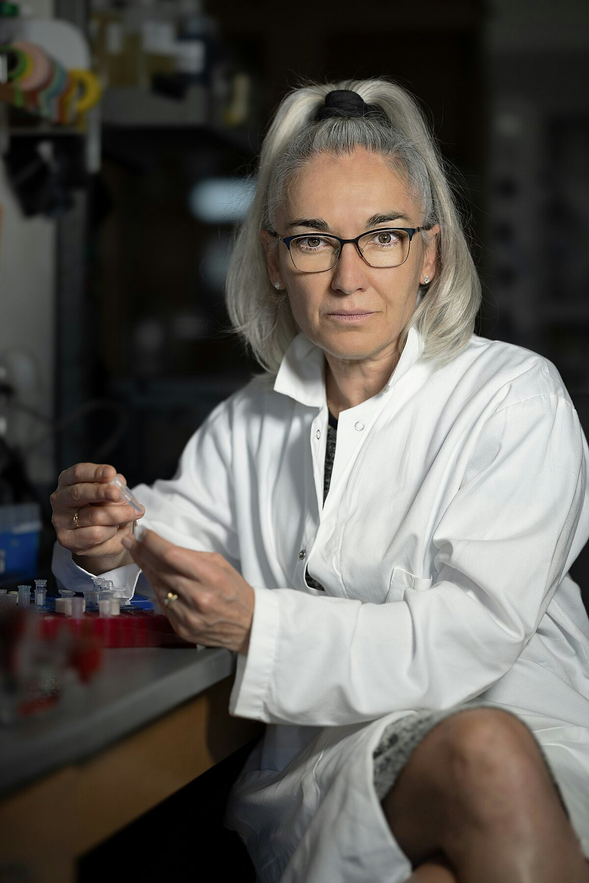 Click to View Larger