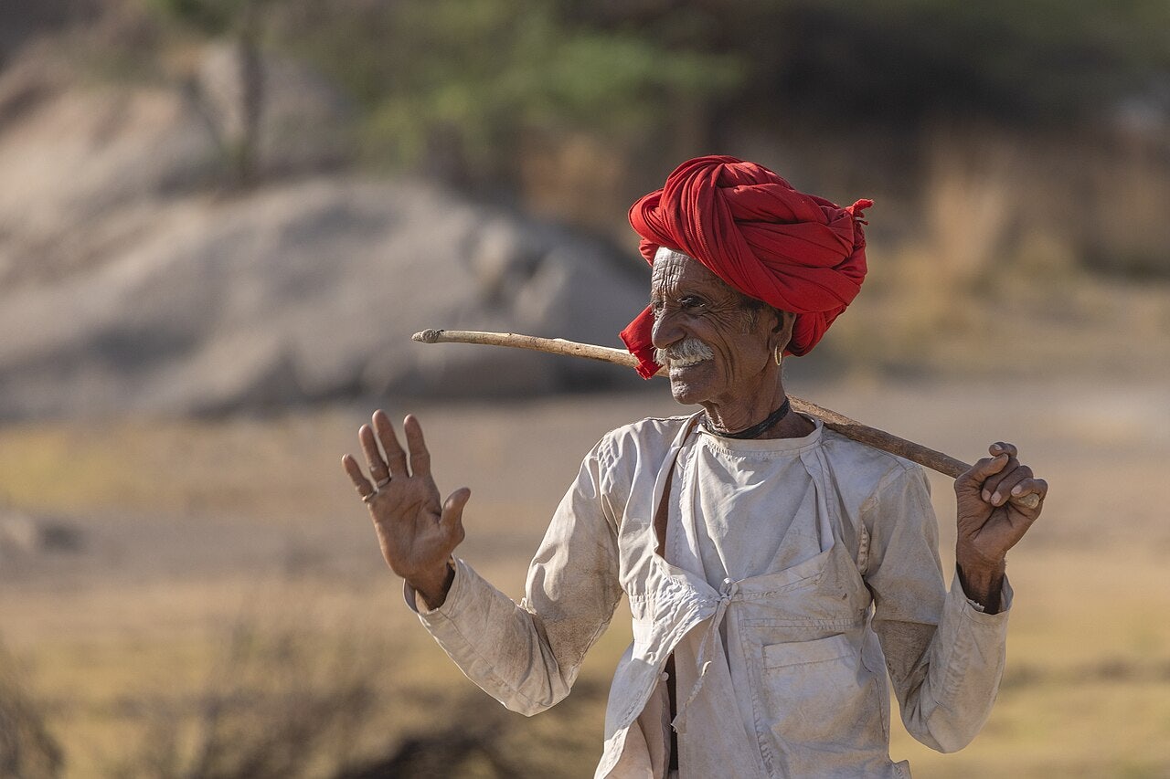 Click to View Larger