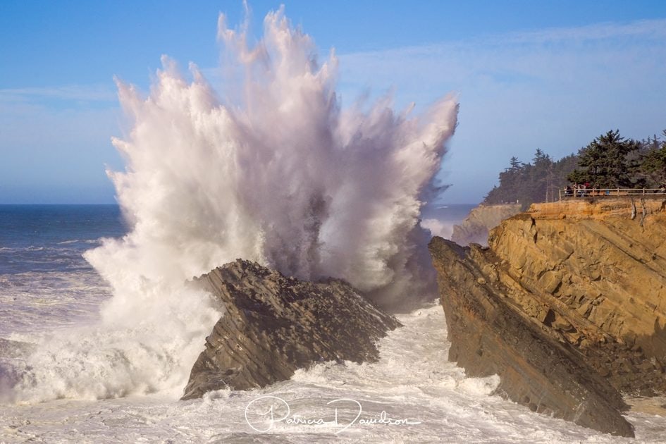 Click to View Larger