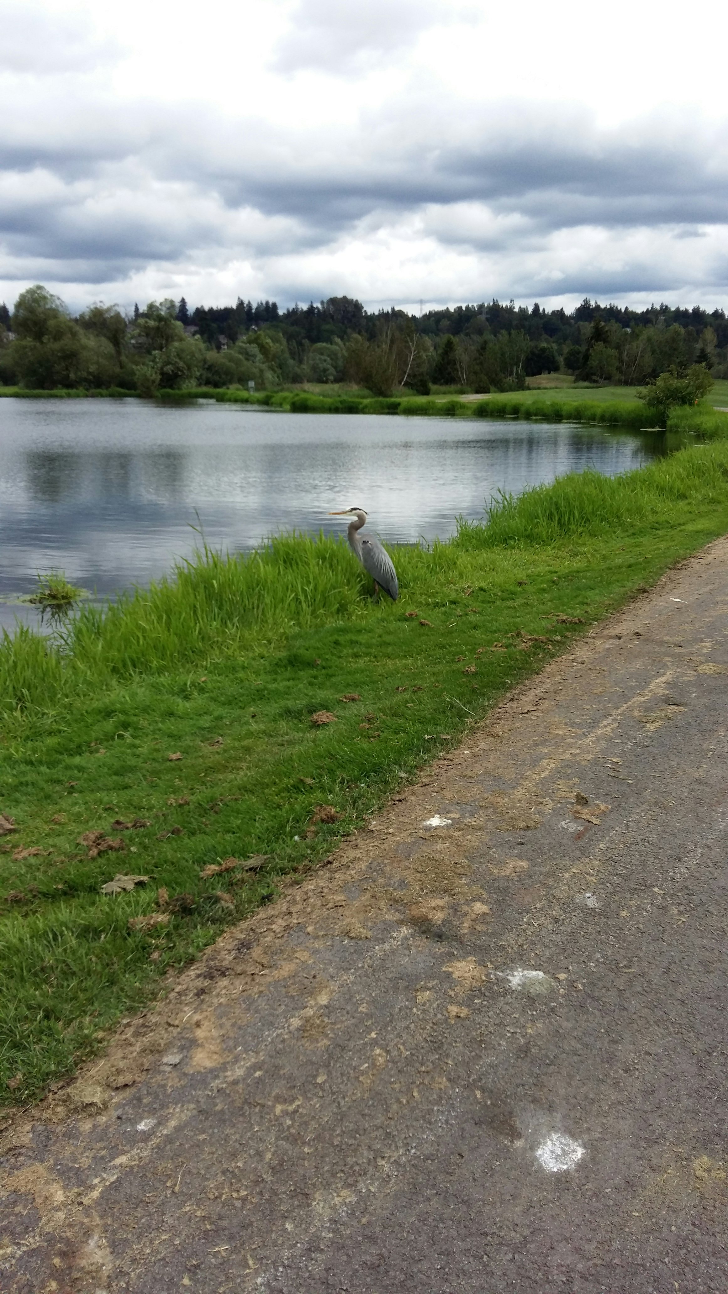 Click to View Larger