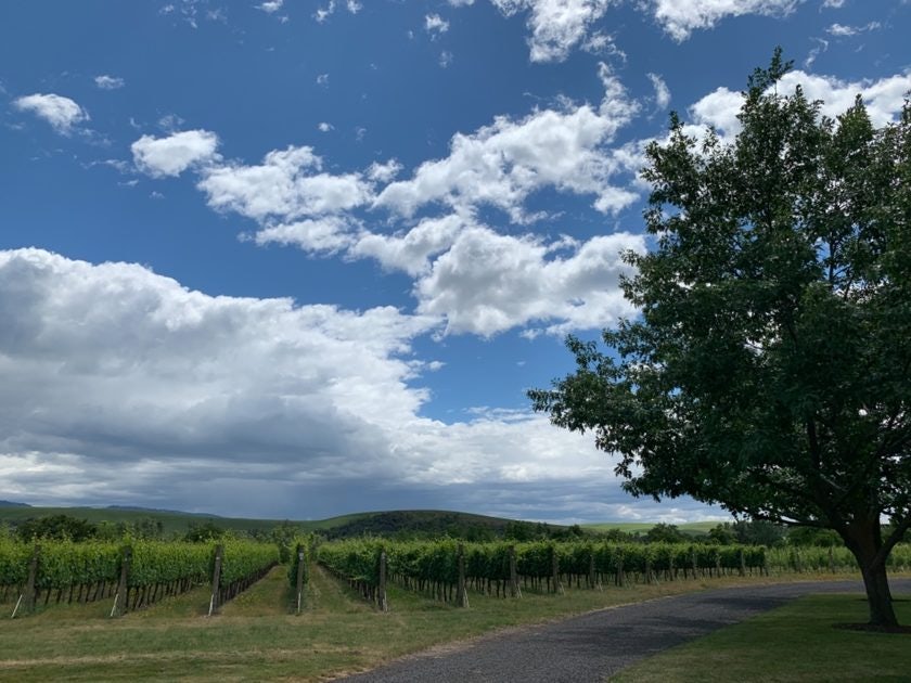 Click to View Larger