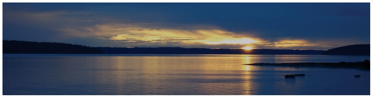 Click to View Larger