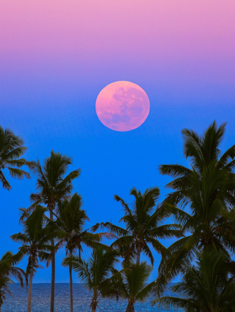 Click to View Larger