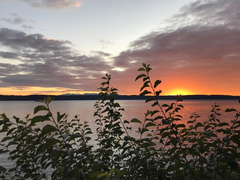 Click to View Larger