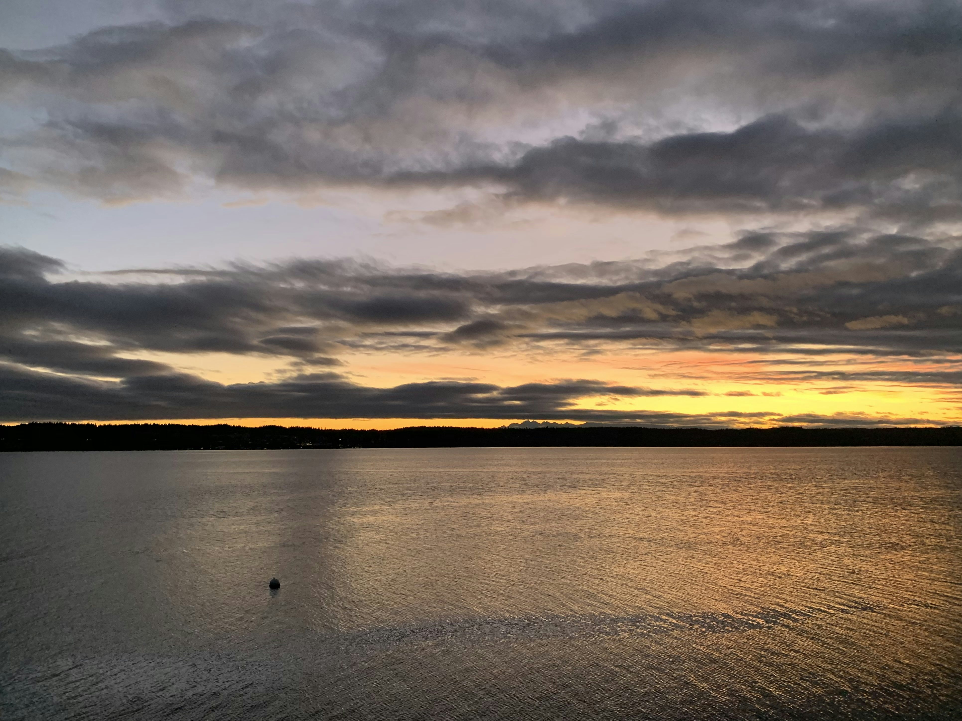 Click to View Larger