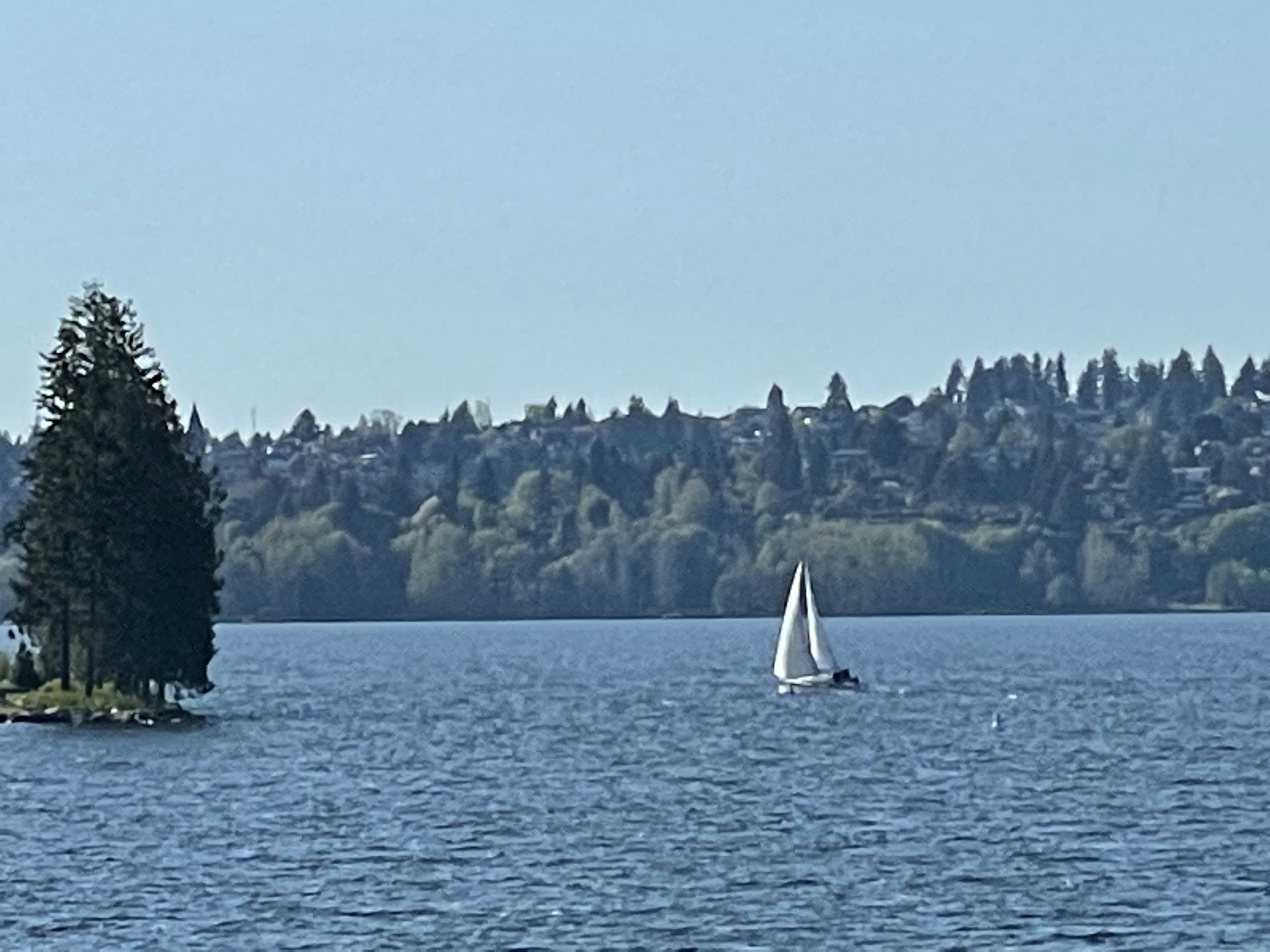 Click to View Larger