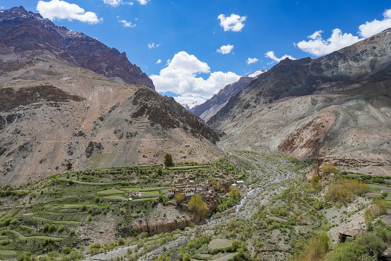 Click to View Larger