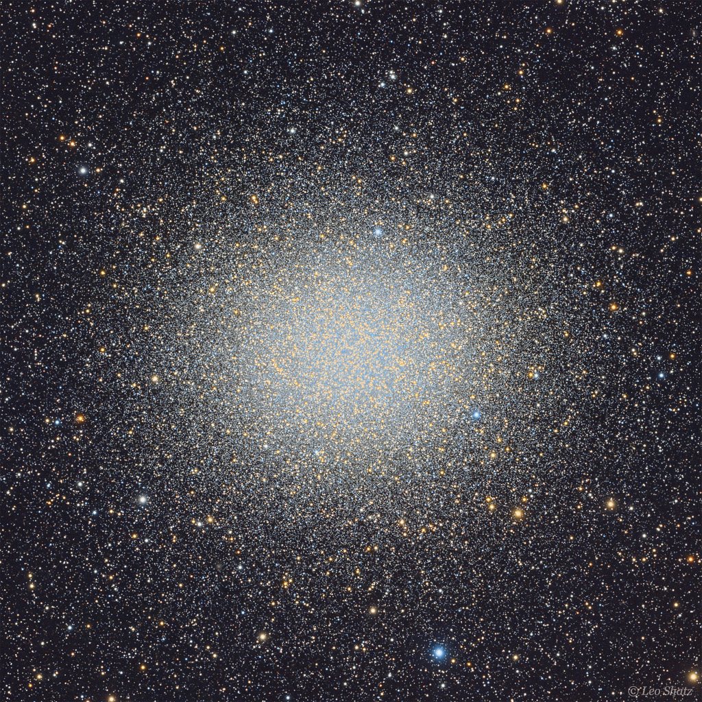 Click to View Larger