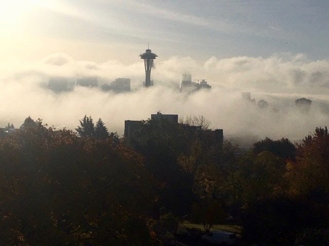 Click to View Larger