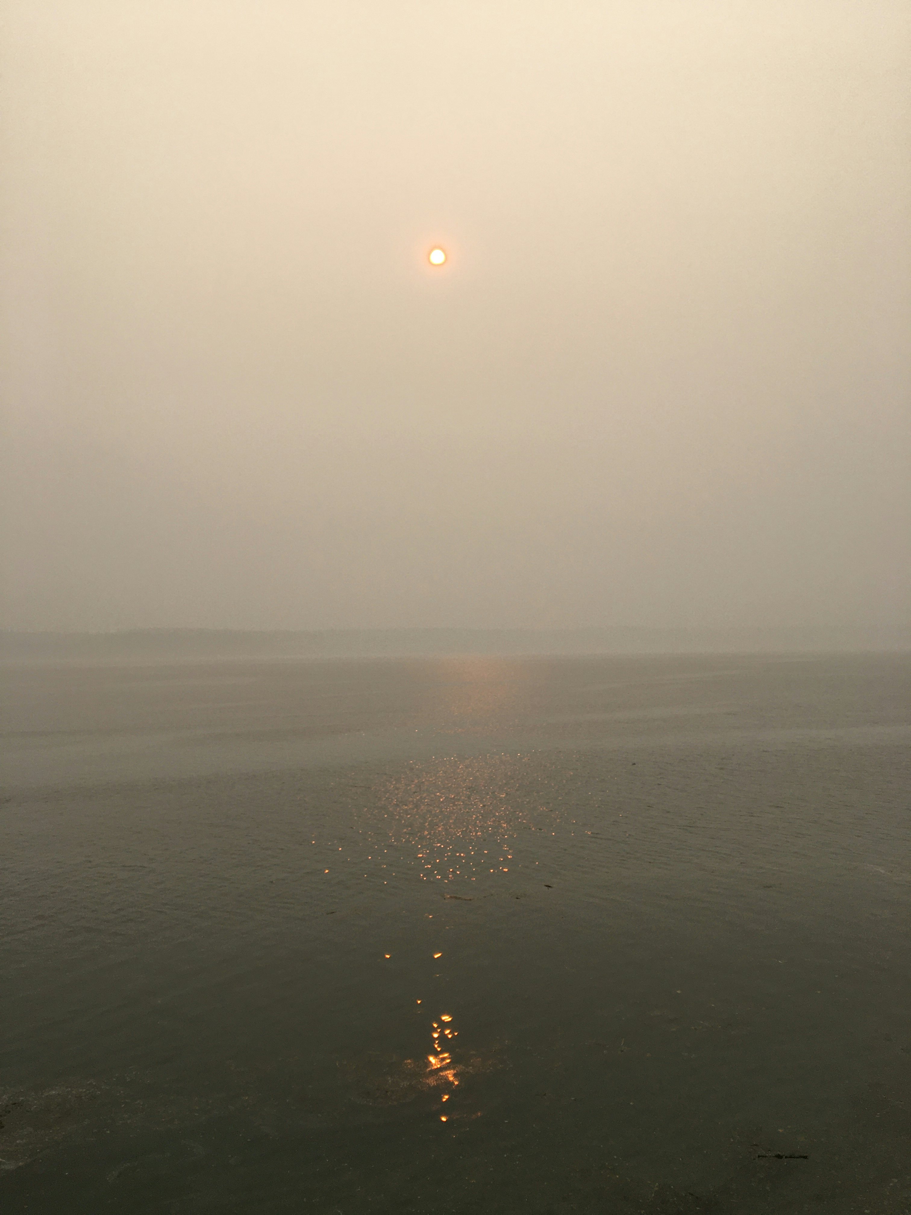 Click to View Larger