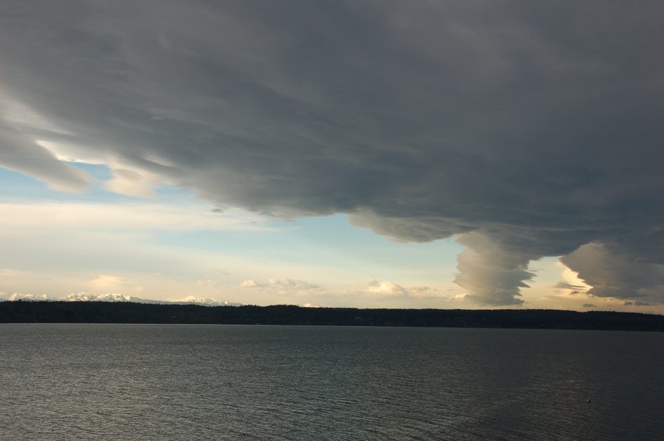 Click to View Larger