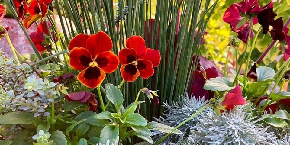 Click to View Larger