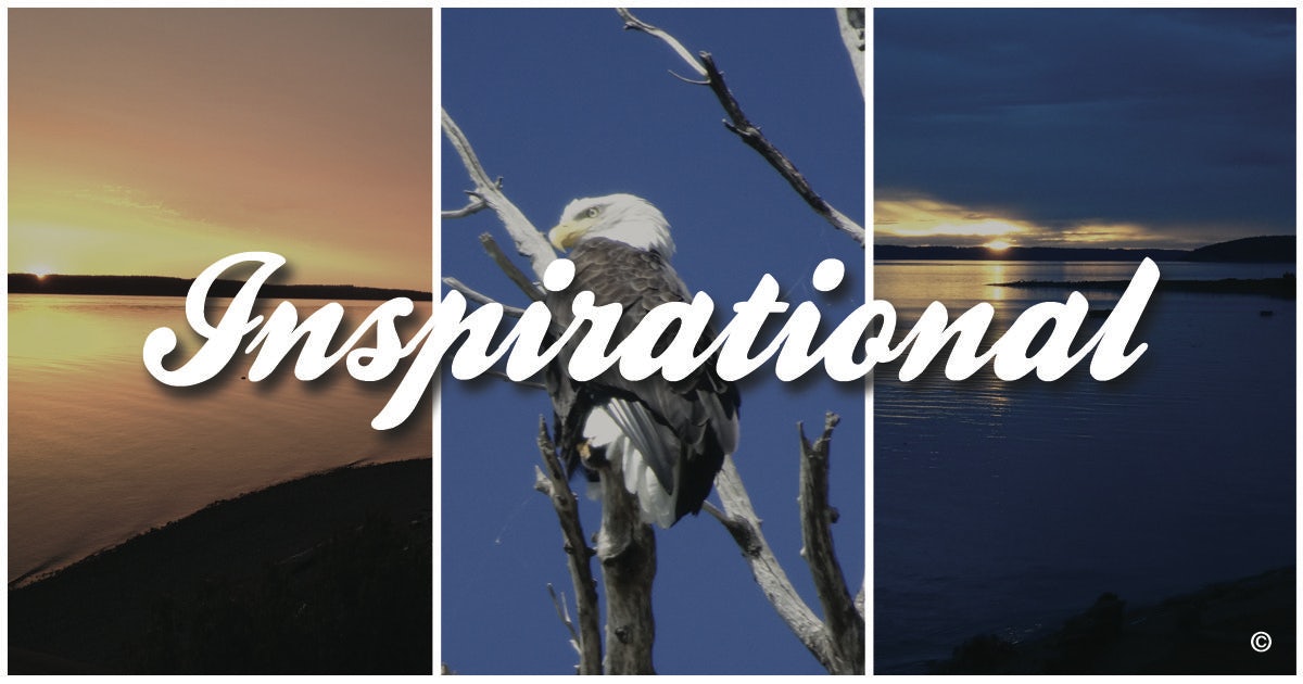 Click to View Larger