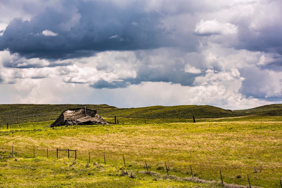 Click to View Larger