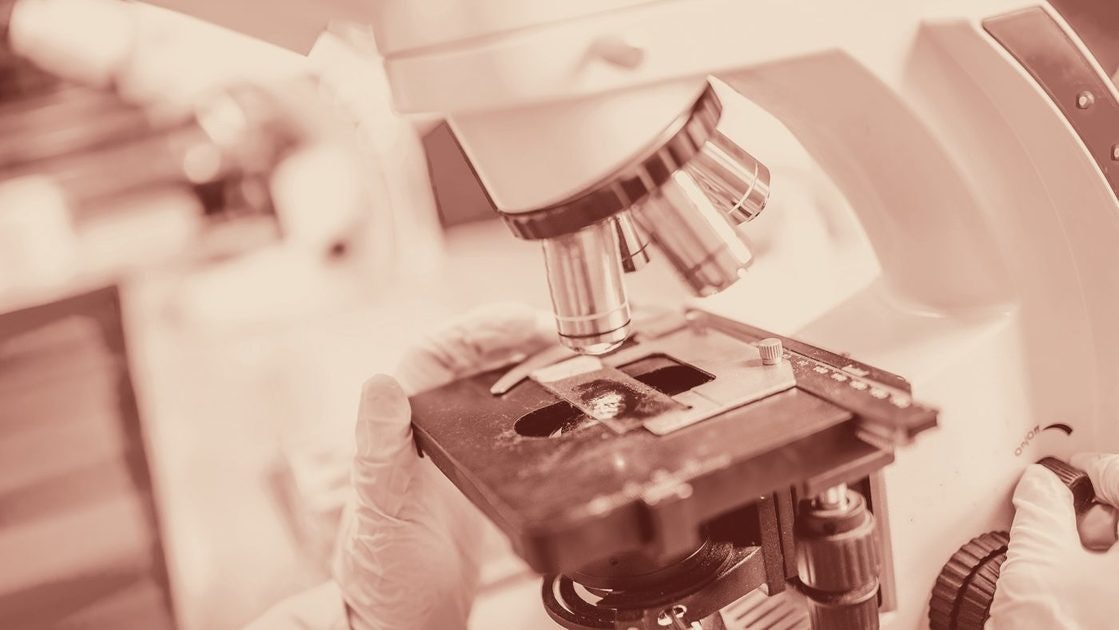 Click to View Larger