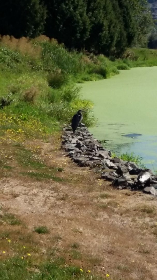 Click to View Larger