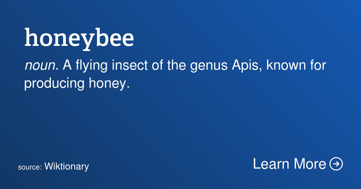 Click to View Larger