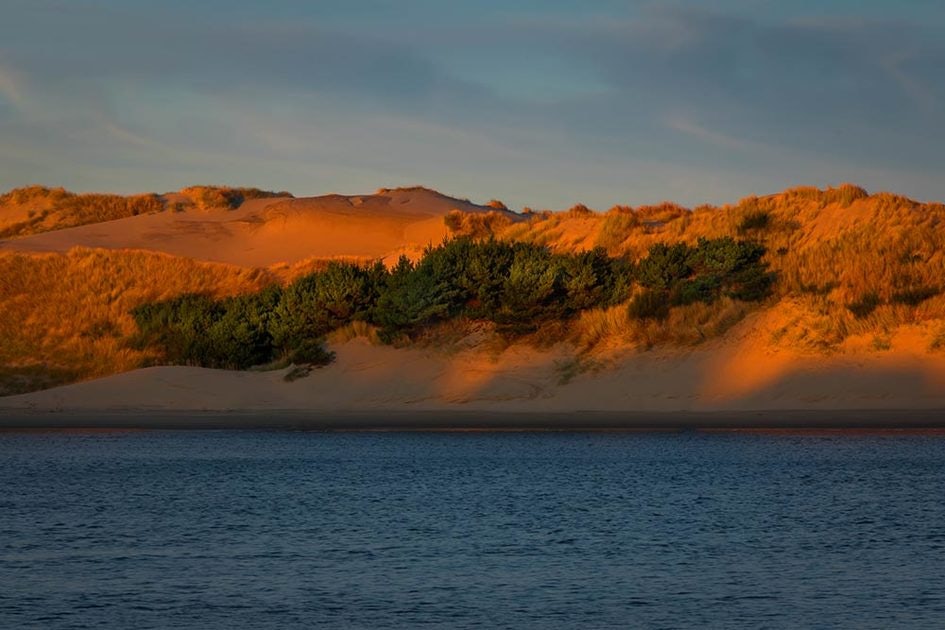 Click to View Larger