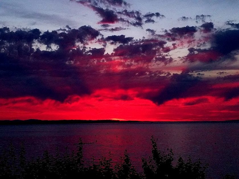 Click to View Larger