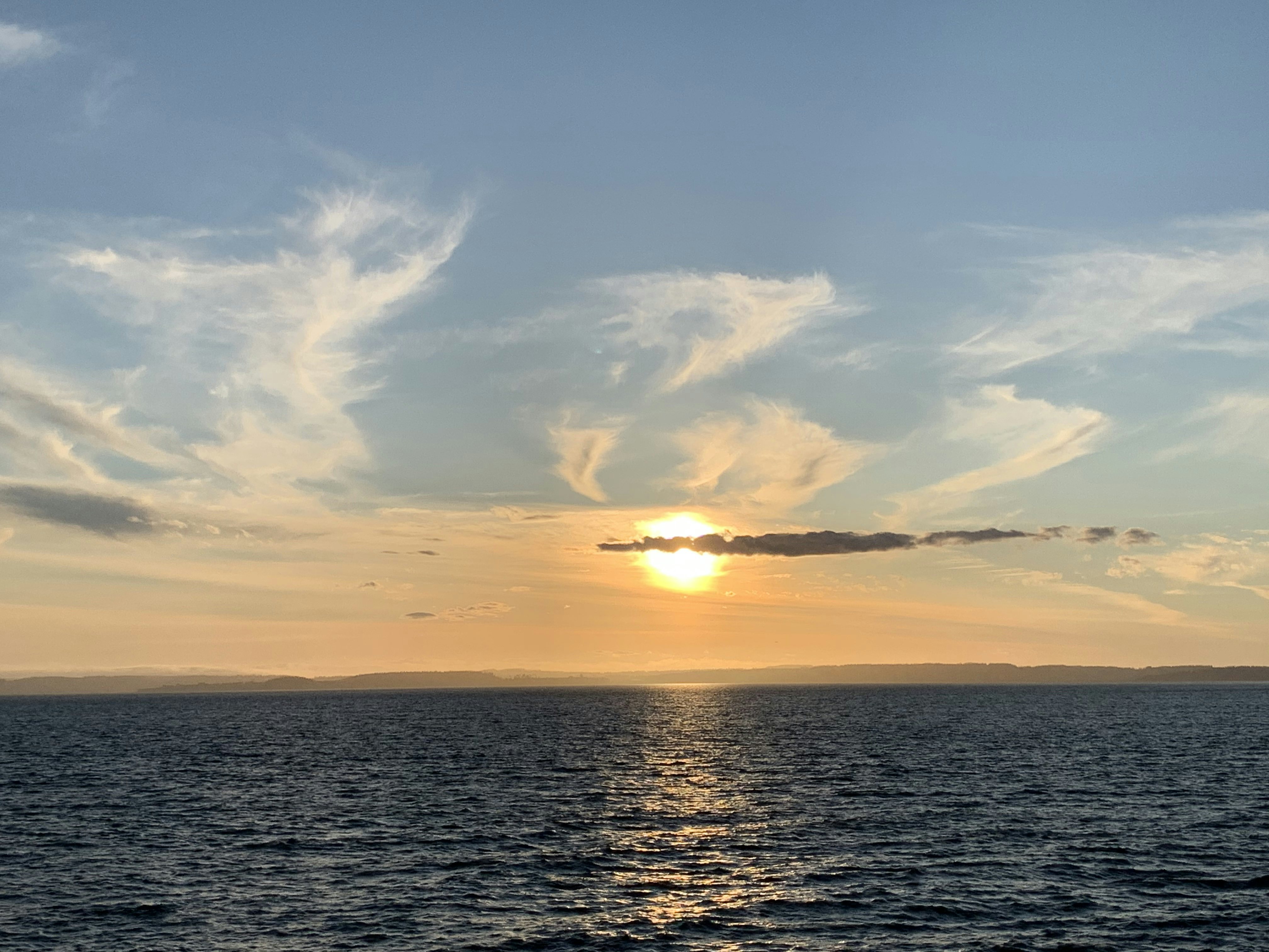 Click to View Larger