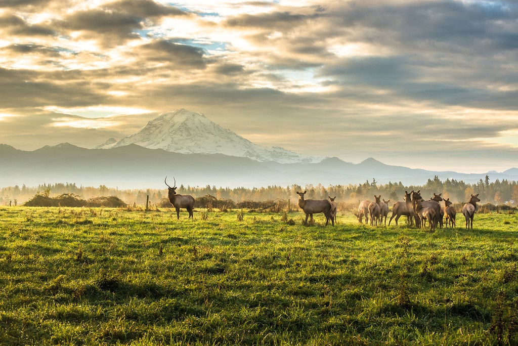 Click to View Larger