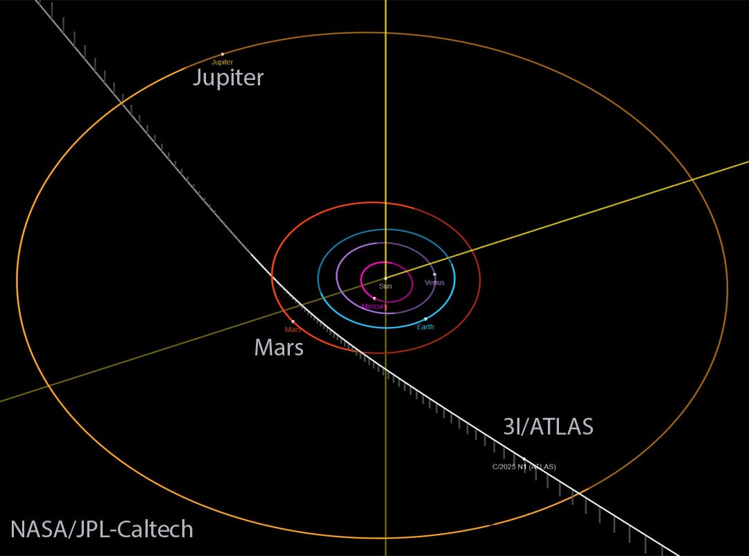 Click to View Larger