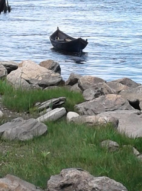 Click to View Larger