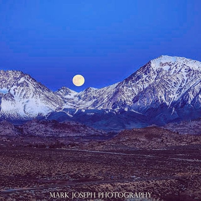 Click to View Larger